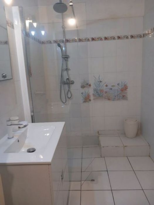 La salle de bain de Sapotille avec douche accessible en fauteuil roulant.
