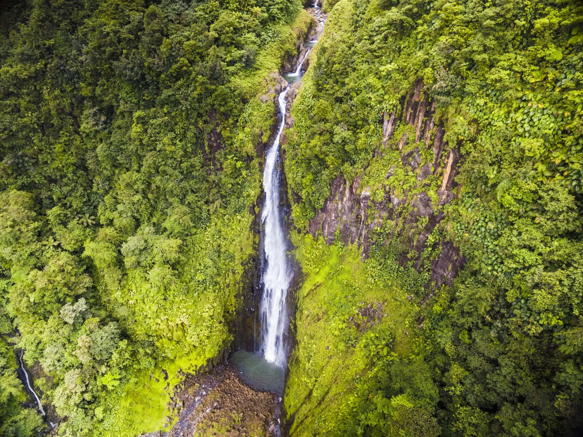 Les Chutes du Carbet en Basse-Terre : cascade tropicale plongeant dans la forêt du parc national.